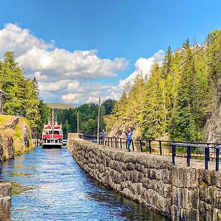 Amazing In With Wifi